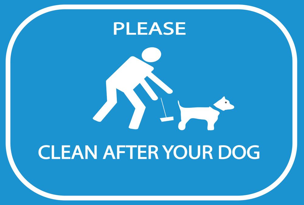 All Photos for River City Scoopers in Midlothian, VA