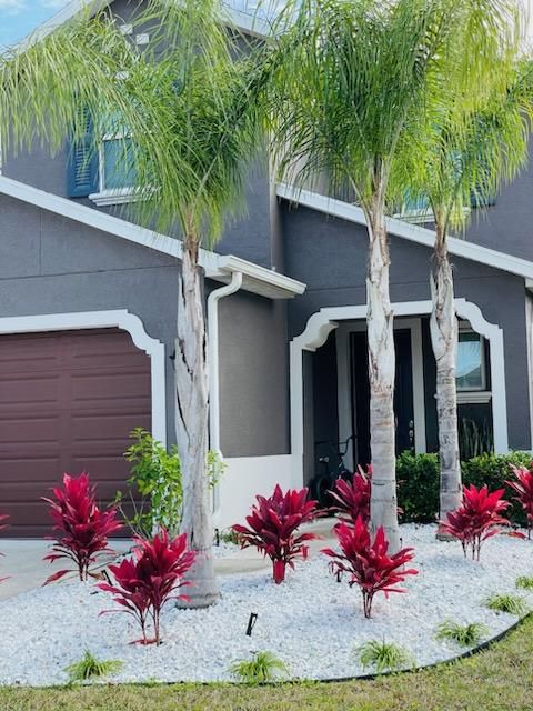 All Photos for Team Tolson Landscape in Tampa Bay, FL