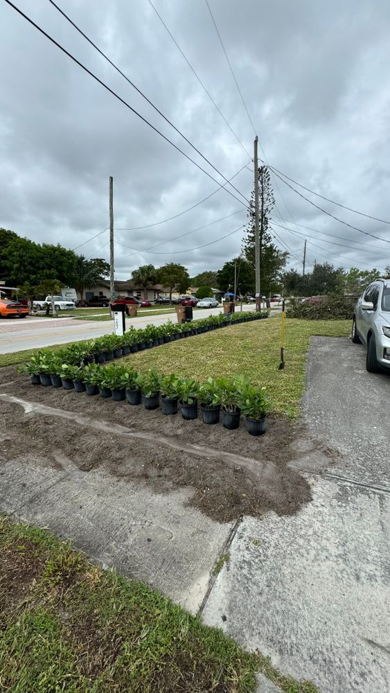 All Photos for South Florida Terra Systems in Boynton beach ,  FL