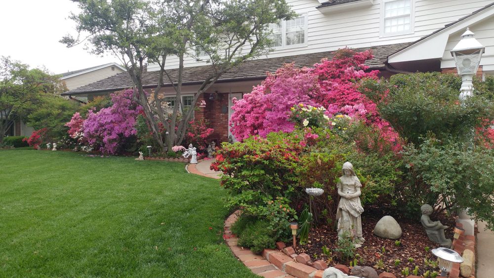 All Photos for Urban Lawn & Landscape in Oklahoma City, OK