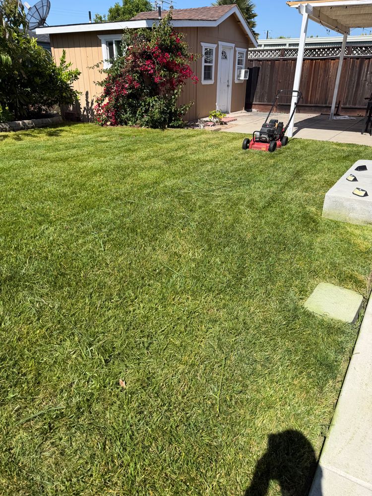All Photos for CBA Landscaping in Hayward, CA
