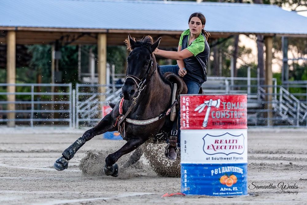 All Photos for Florida Native Equestrian Development in Central Florida, FL