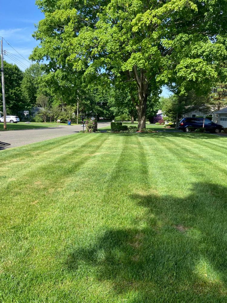 Lawn Maintenance  for Ace Landscaping in Trumbull, CT