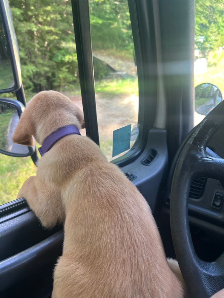 All Photos for The Gravel Guy in Blairsville, GA