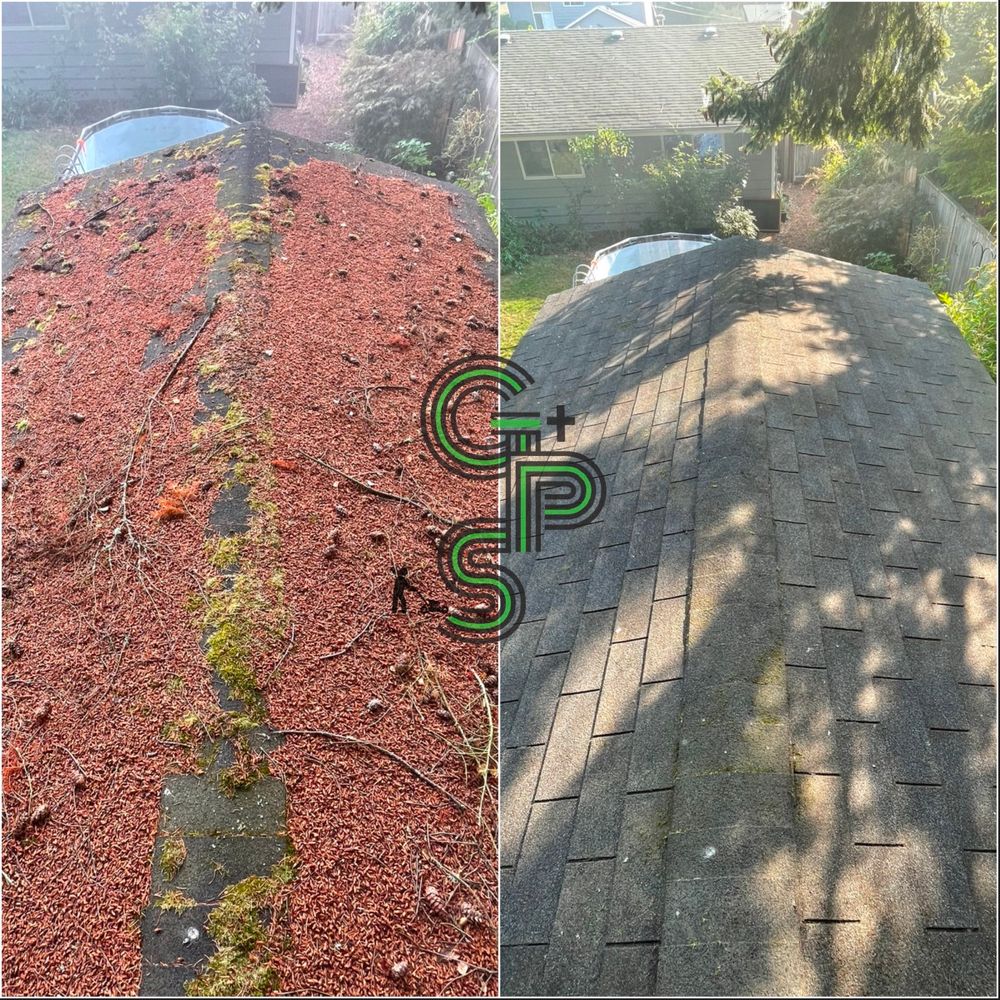 Roof and Gutter Cleaning for Golovin Property Services LLC in Marysville, WA