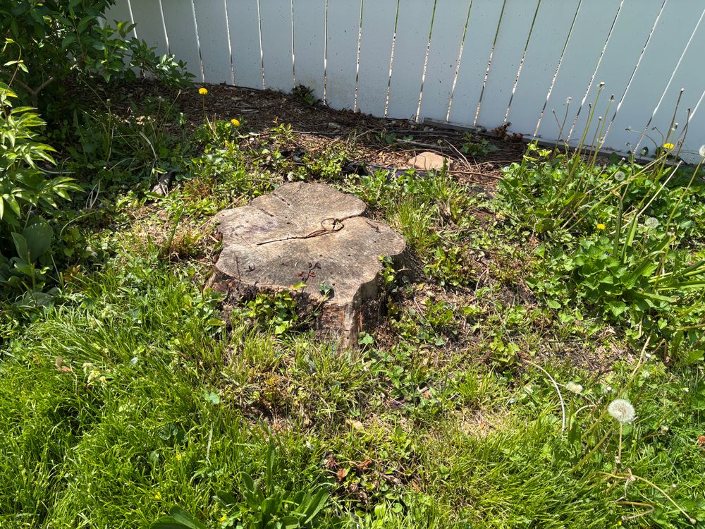 All Photos for Conrad's Stump Removal in Columbus, IN