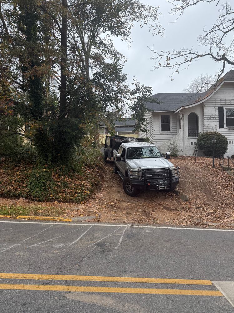 All Photos for T N L - Tree and Land Service in Reynolds, GA