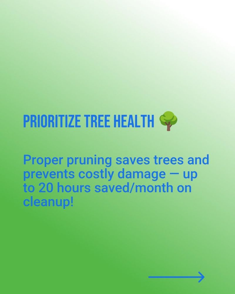 All Photos for Ludlows Services in Clermont, FL