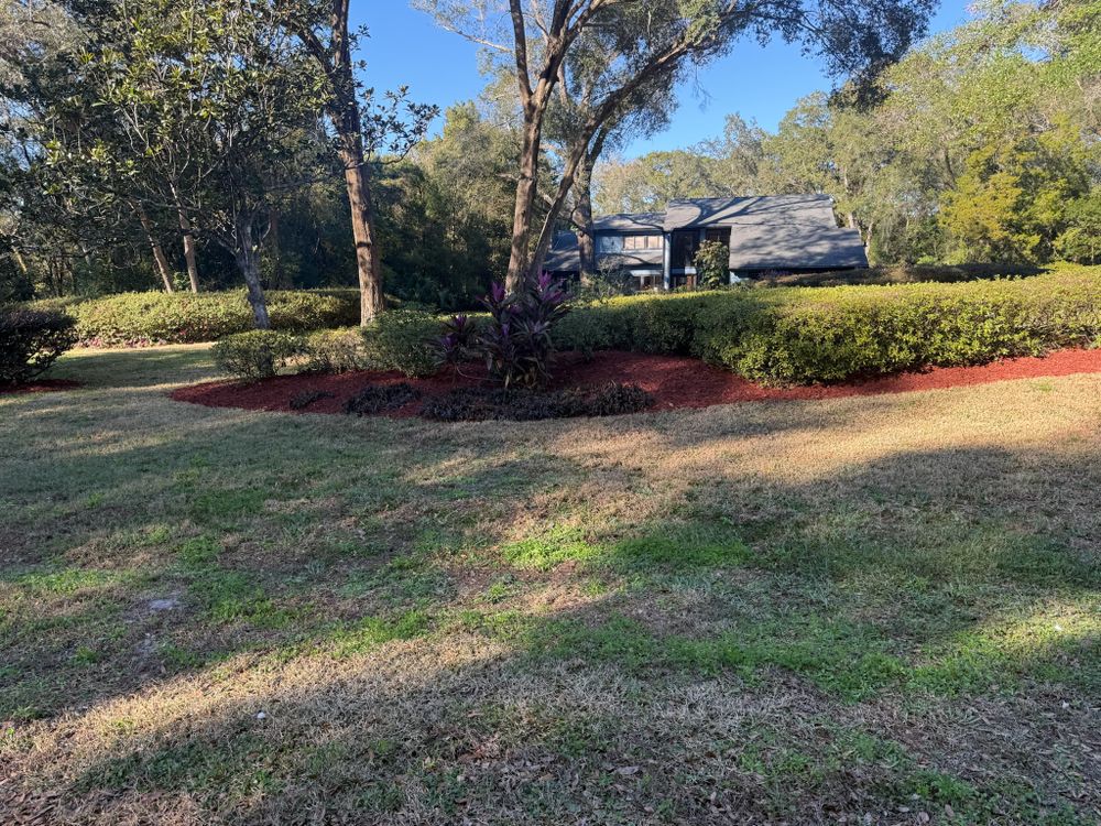 All Photos for Amerigrown Tree And Lawn in Apopka, FL