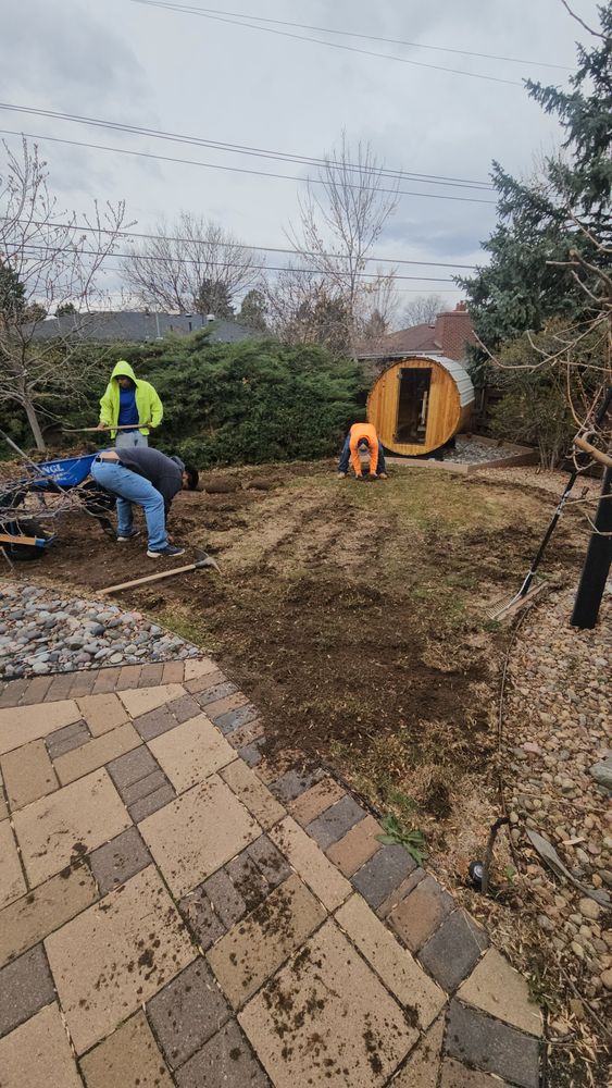 All Photos for NGL Landscape Company in Denver, CO
