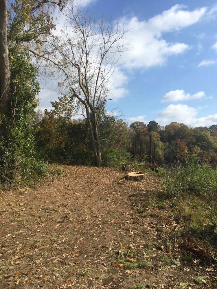 All Photos for Tucker's Tree Service and Stump Grinding in Lugoff, SC