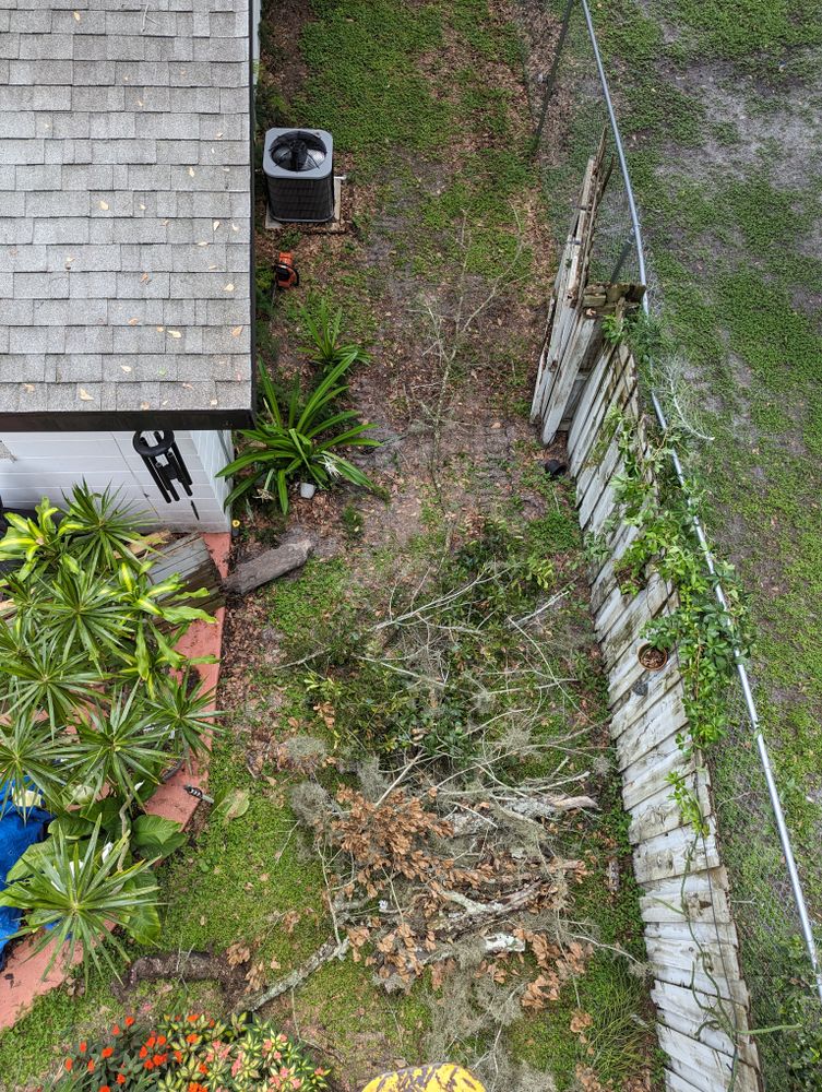 All Photos for Regal Tree Service and Stump Grinding in Wauchula, FL