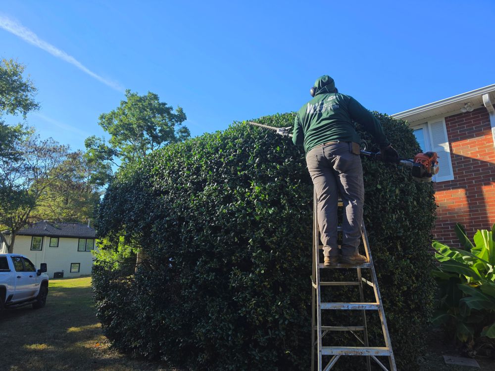 All Photos for Zepeda's Mowing in Fort Valley, GA
