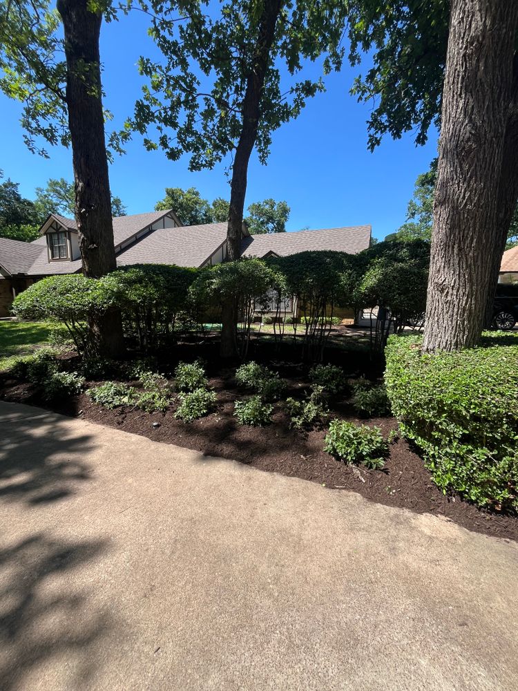 All Photos for Piña’s Lawncare in Limestone County, TX