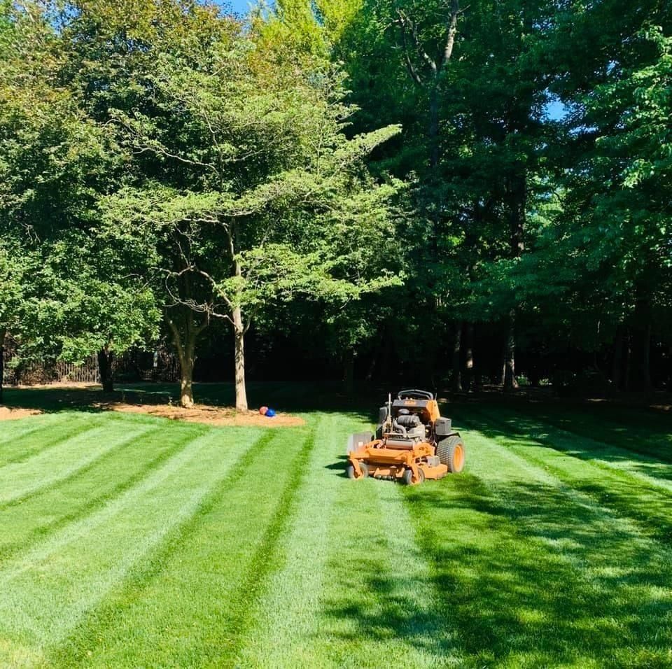 Seasonal Contracts for America's Top Pick Lawn & Landscaping in Gastonia, NC