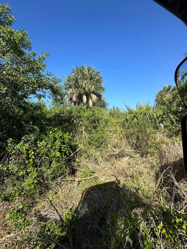 Our Bush Hogging service efficiently clears overgrown land, removing dense vegetation and brush. Ideal for creating usable space in your yard, it enhances property appearance while maintaining environmental sustainability and safety. for Windspirit Land Services in Hillsborough County, FL