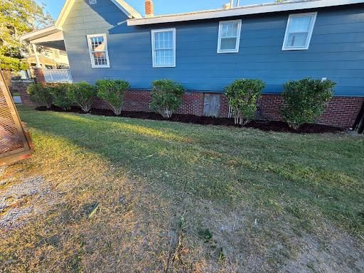 All Photos for Just Mow and Go Lawn Service, LLC in New Bern, NC