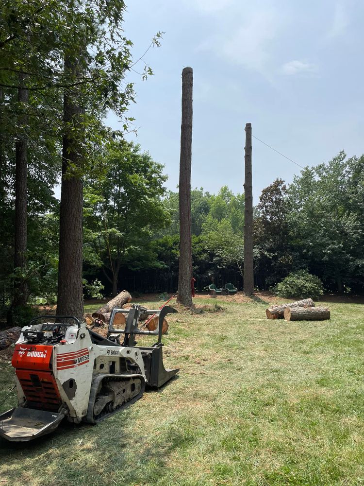 Tree Removal for Ace Tree Service  in Fuquay-Varina, NC