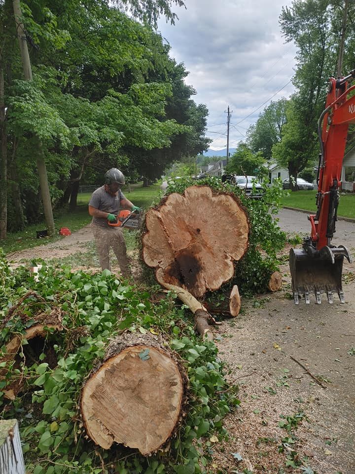 M&L Lumber and Excavating team in Jonesborough, TN - people or person