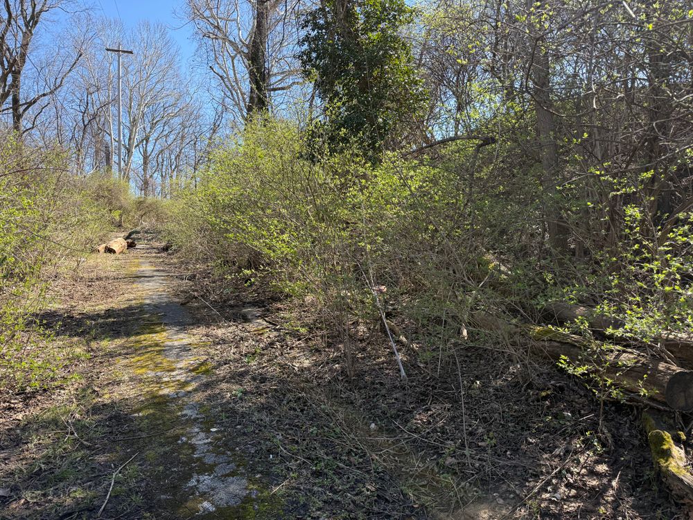 All Photos for A1 Bush Hogging & Lawn Service in London, OH