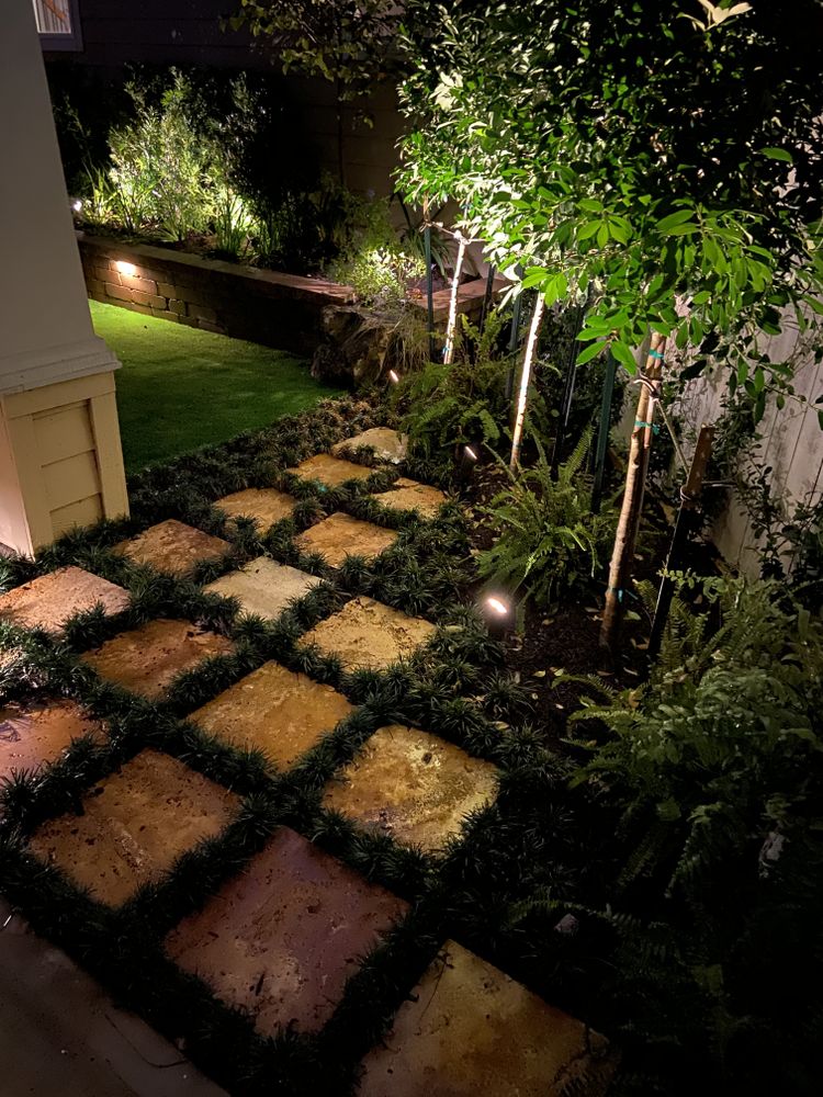 Lighting for Atlas Land Design in Creekside Park, TX
