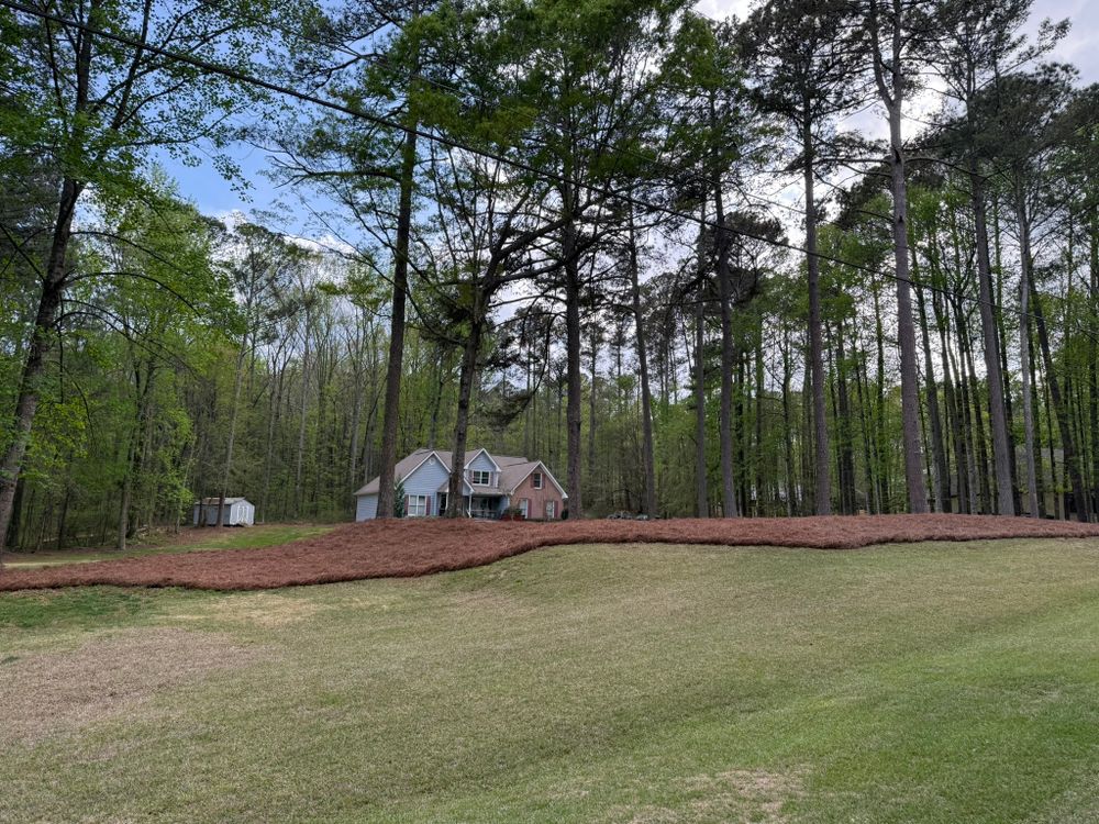 All Photos for Tri-P Services in Athens, GA