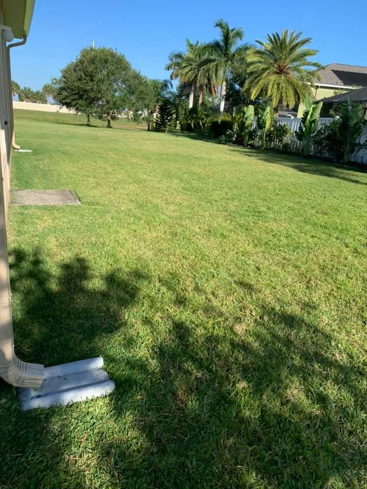 Fall Clean Up for Tolliver’s landscape LLC in Palm Bay, FL