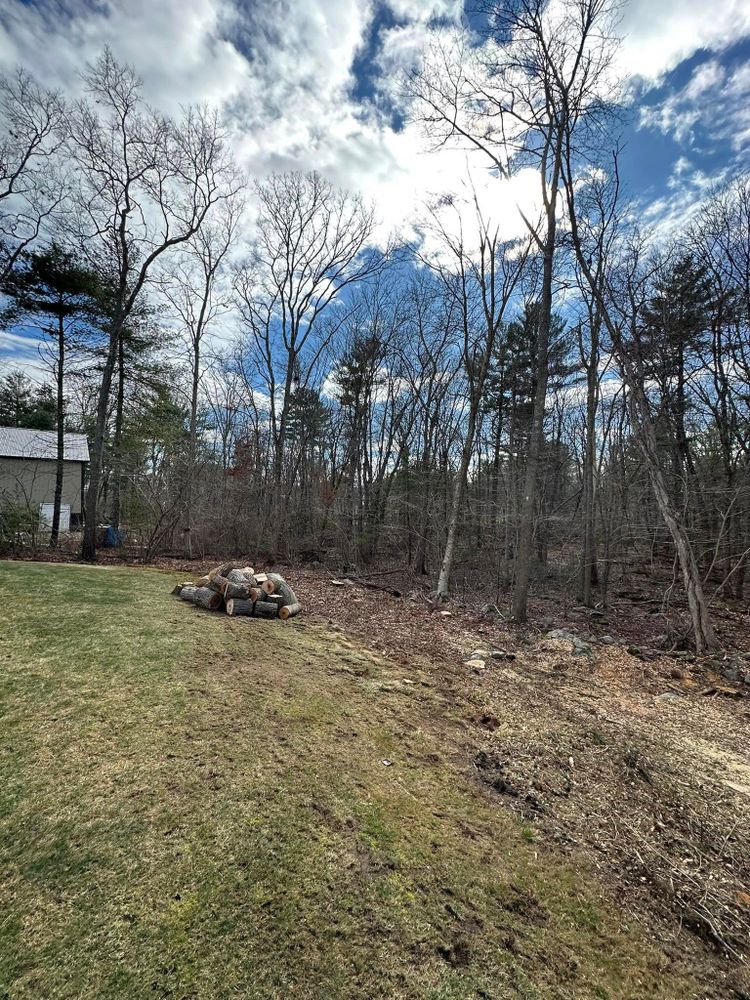 All Photos for Silver City Tree and Landscape in Taunton, MA