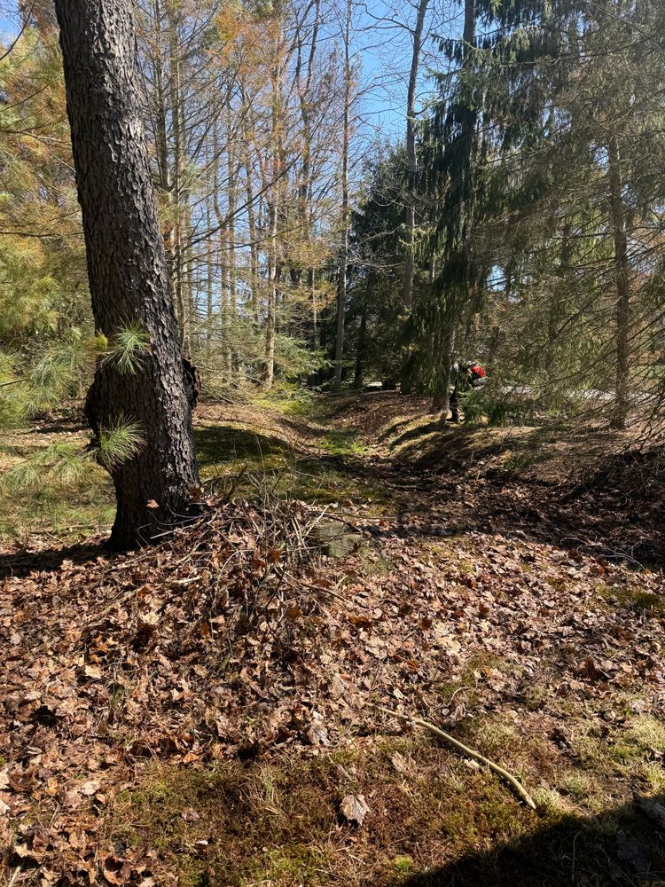 Natural Stone Hardscape for Youngstown Lawn & Patio Design in Canfield, OH