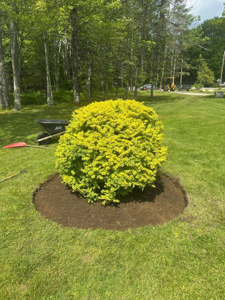Our Shrub Trimming service expertly shapes and maintains your shrubs for optimal health and aesthetic appeal, enhancing curb appeal while promoting healthy growth for a beautifully manicured landscape all year round. for CWB Lawn Care & Landscaping in Franklin County, ME