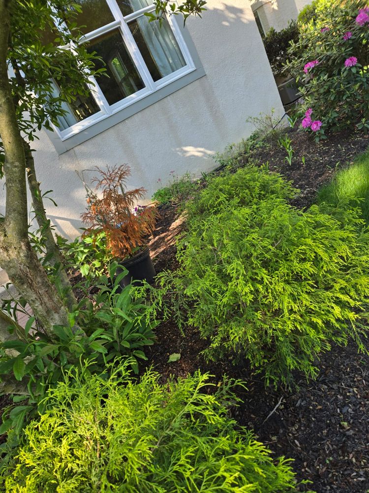 All Photos for MVR Roofing & Construction in Hamilton, NJ