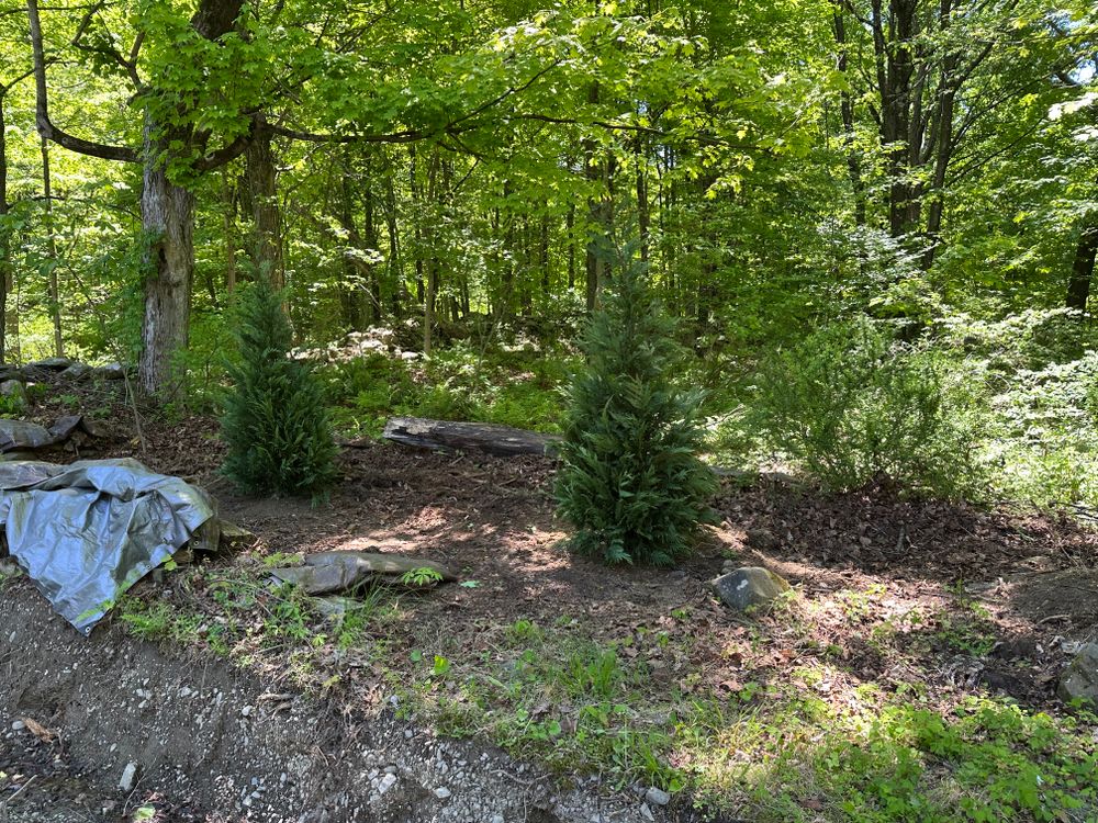 All Photos for Cuellar Lawn Care in Highland , NY 