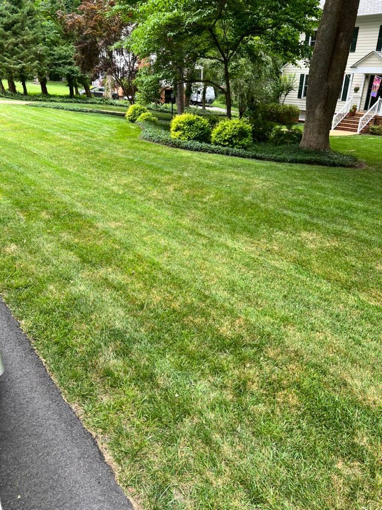 Mowing for Freedom Landscape LLC in Chesterfield, VA
