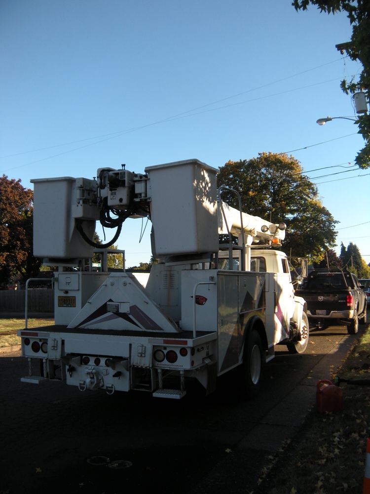 All Photos for Willamette Landscaping and Tree Services in Albany, OR