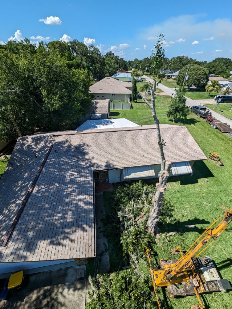 All Photos for Regal Tree Service and Stump Grinding in Wauchula, FL