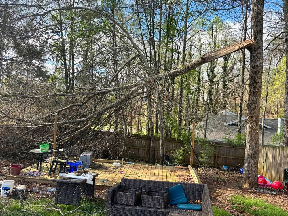 All Photos for Wade's Family Tree Service in Townsend, TN