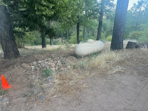 Property Clean Up for The Tree Fairy in Temecula, CA
