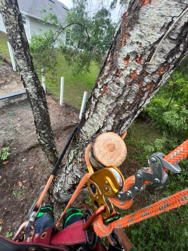 Tree Trimming and Removal for McGraw’s Lawn and Tree Service in DeLand, FL