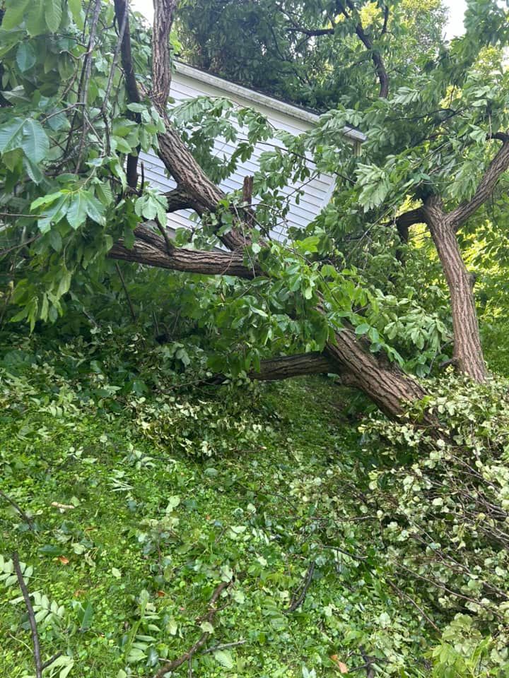 Our Emergency Tree Services provide fast and efficient tree removal and cleanup in urgent situations such as storm damage or fallen trees, ensuring your property's safety and restoration. for Curtis Tree Service LLC in Hopkins County, KY