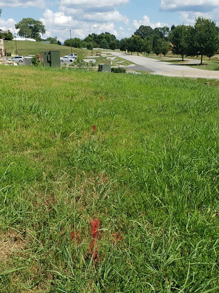 Underground Utility Locating for Jones Locating Services in Bluff City, TN