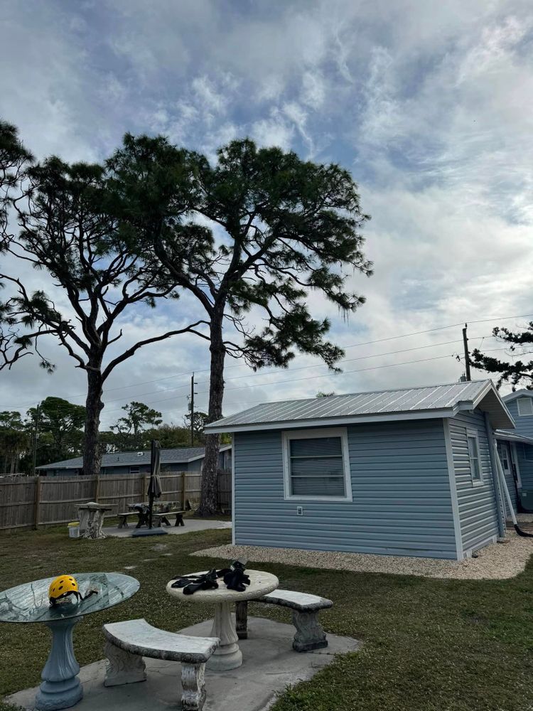 Tree Removal for Lemon Bay Tree Service  in Englewood, FL