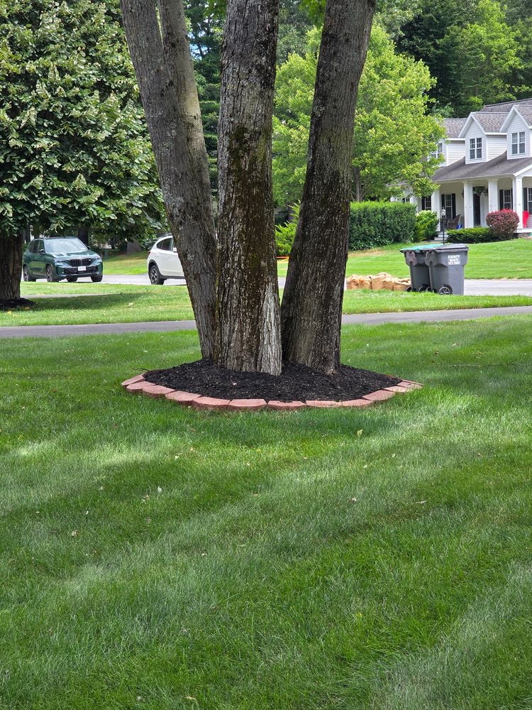 All Photos for Sweet Scapes in Ballston Spa, NY