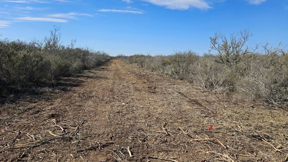 Land Clearing for Hernandez Land Clearing Services in Alice, TX
