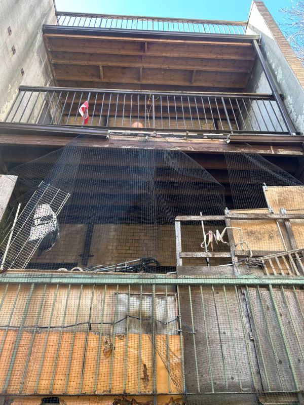 All Photos for Triumph Inc - Repair & Maintenance in Scarborough, ON