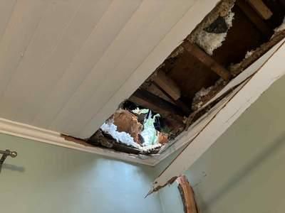 All Photos for Bulldawg Disaster Response in Atlanta, GA