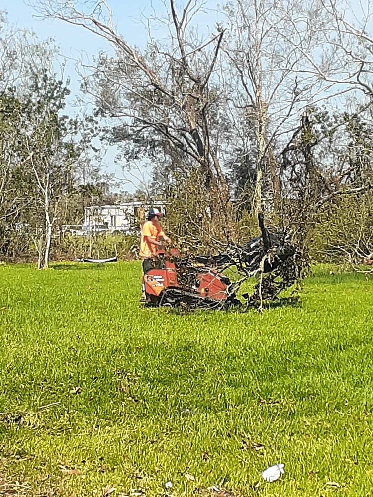 All Photos for Professional Tree Service USA in Chattanooga, TN
