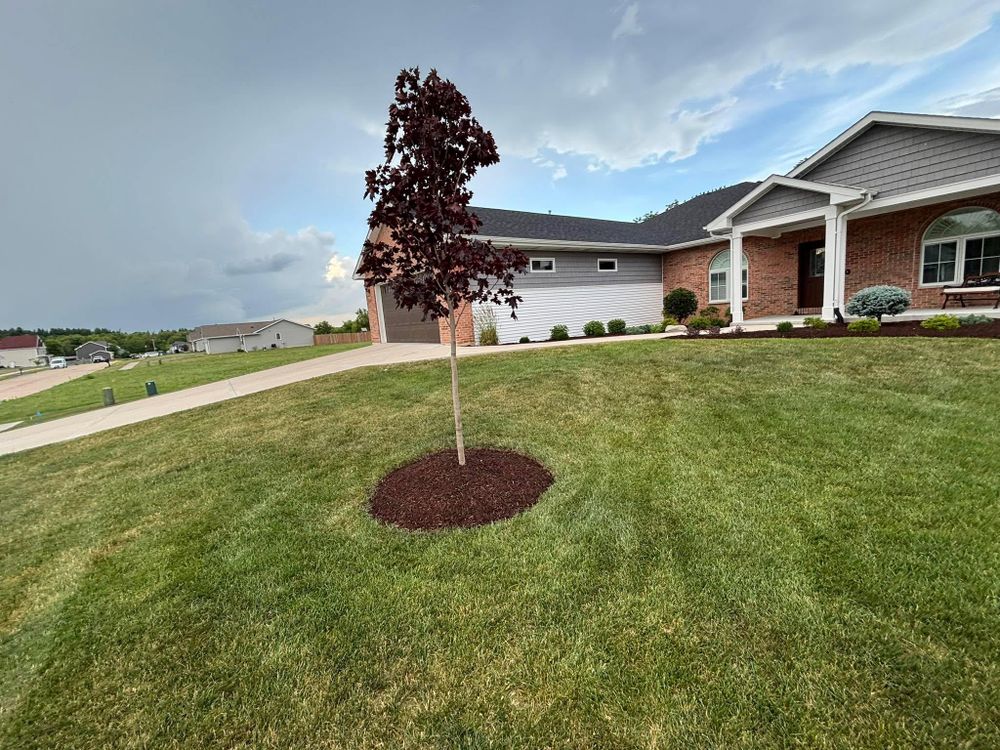All Photos for Cena Landscaping in Rockford, IL
