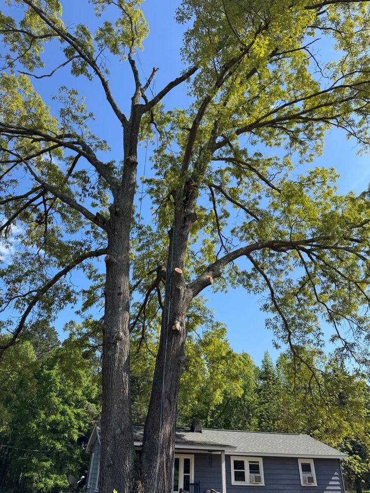 All Photos for Thin Green Line Landscaping & More in Laurens, SC