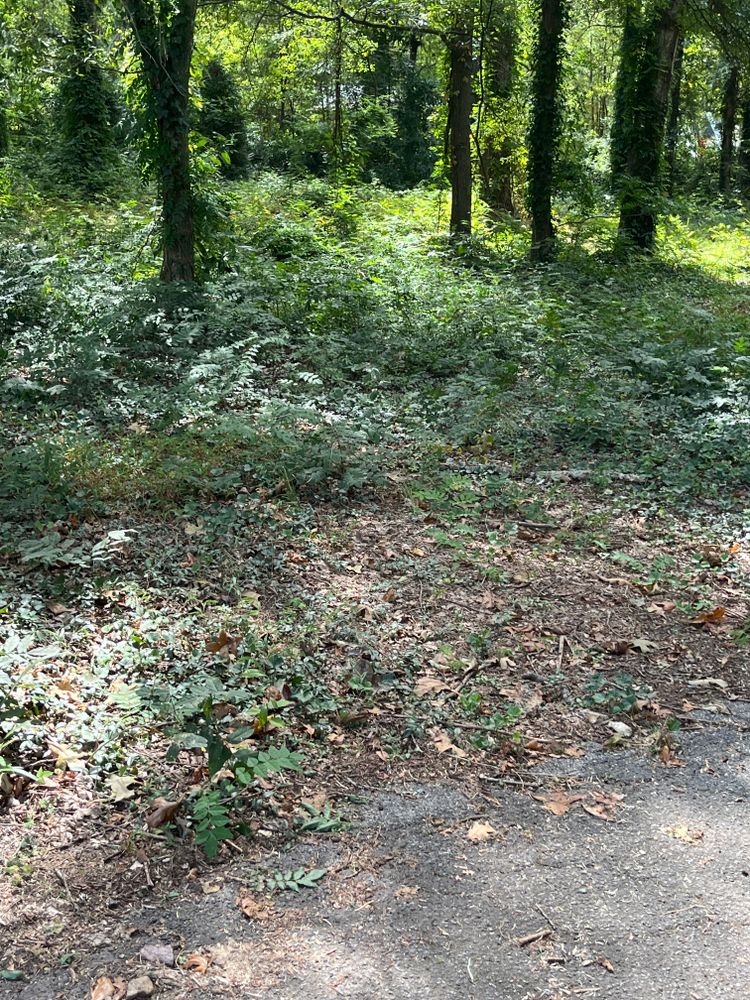 All Photos for Dream Cuts Landscaping and Lawn Care LLC in Gastonia, NC