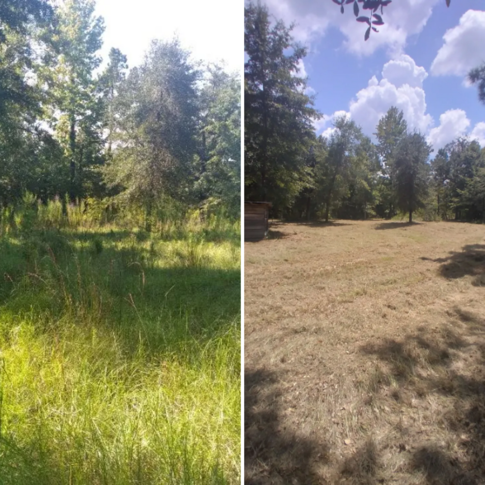 All Photos for Landrum’s Lawn & Tractor Services in Blountstown, FL